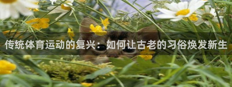 海南J9官网下载发展怎么样:传统体育运动的复兴:如何让古老的