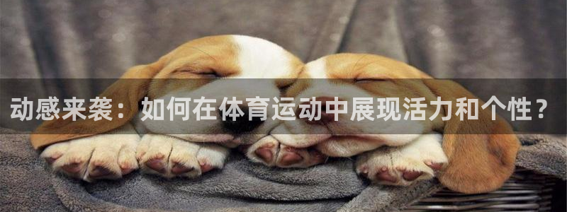 J9官网下载平台注册:动感来袭:如何在体育运动中展现活力和个