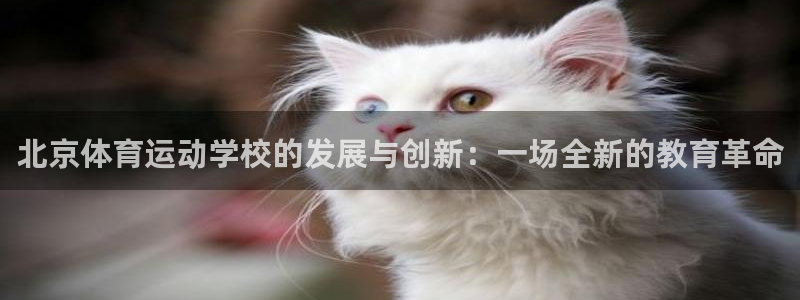 J9官网下载平台是正规平台吗知乎:北京体育运动学校的发展与创